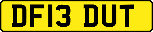 DF13DUT