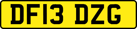 DF13DZG