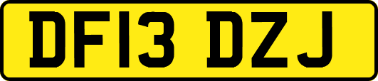 DF13DZJ