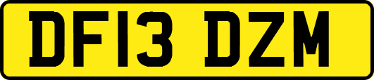 DF13DZM