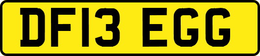 DF13EGG