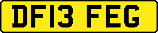 DF13FEG
