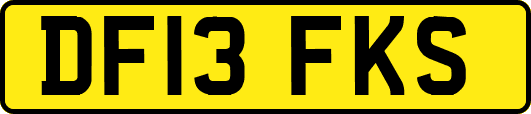 DF13FKS
