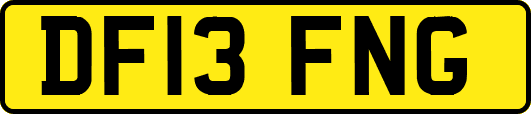 DF13FNG