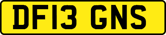 DF13GNS