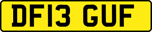 DF13GUF