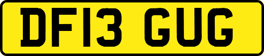 DF13GUG