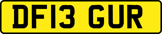 DF13GUR