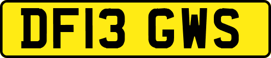 DF13GWS