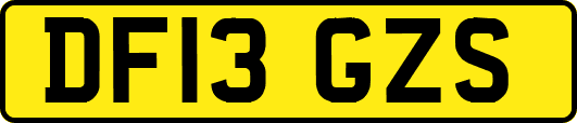 DF13GZS