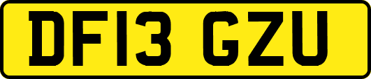 DF13GZU