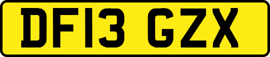 DF13GZX