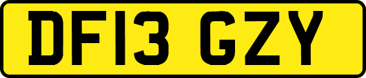 DF13GZY
