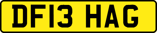 DF13HAG