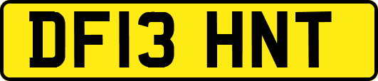 DF13HNT