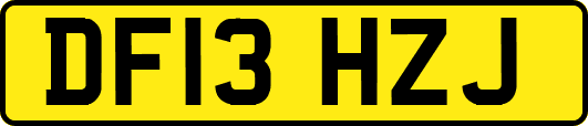 DF13HZJ