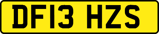DF13HZS