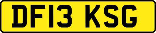 DF13KSG
