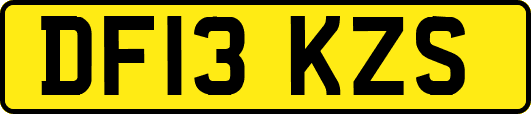 DF13KZS