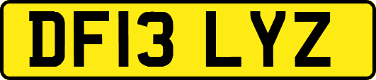 DF13LYZ