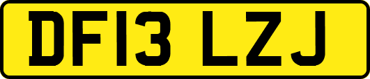 DF13LZJ