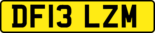 DF13LZM