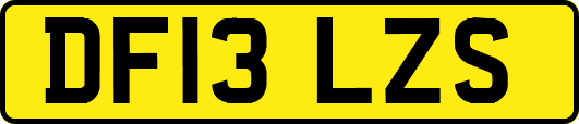 DF13LZS