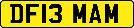 DF13MAM