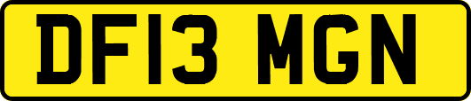 DF13MGN