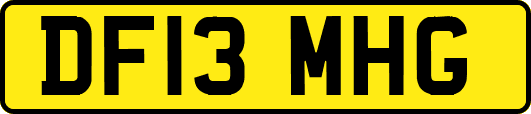 DF13MHG