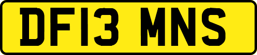DF13MNS