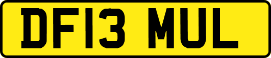 DF13MUL