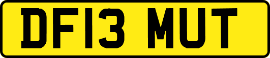 DF13MUT