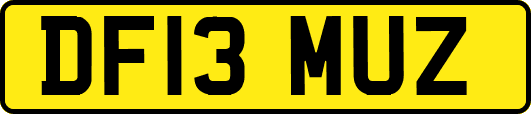 DF13MUZ