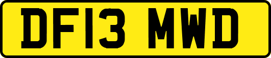 DF13MWD