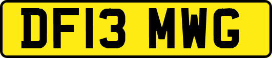 DF13MWG