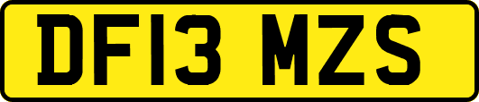 DF13MZS