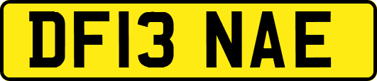 DF13NAE