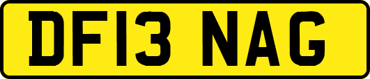 DF13NAG