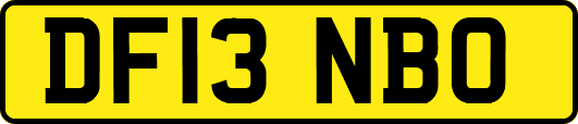 DF13NBO