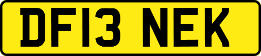 DF13NEK