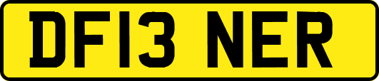 DF13NER