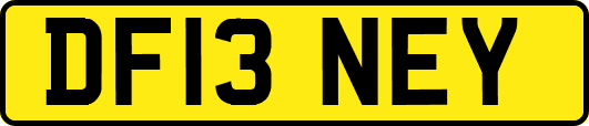DF13NEY