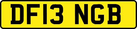 DF13NGB