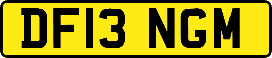 DF13NGM