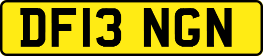 DF13NGN