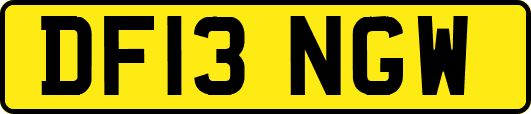 DF13NGW