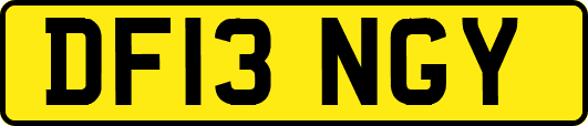 DF13NGY