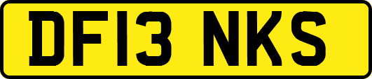 DF13NKS