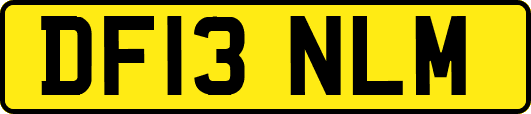 DF13NLM